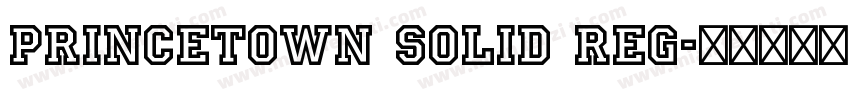 Princetown Solid Reg字体转换